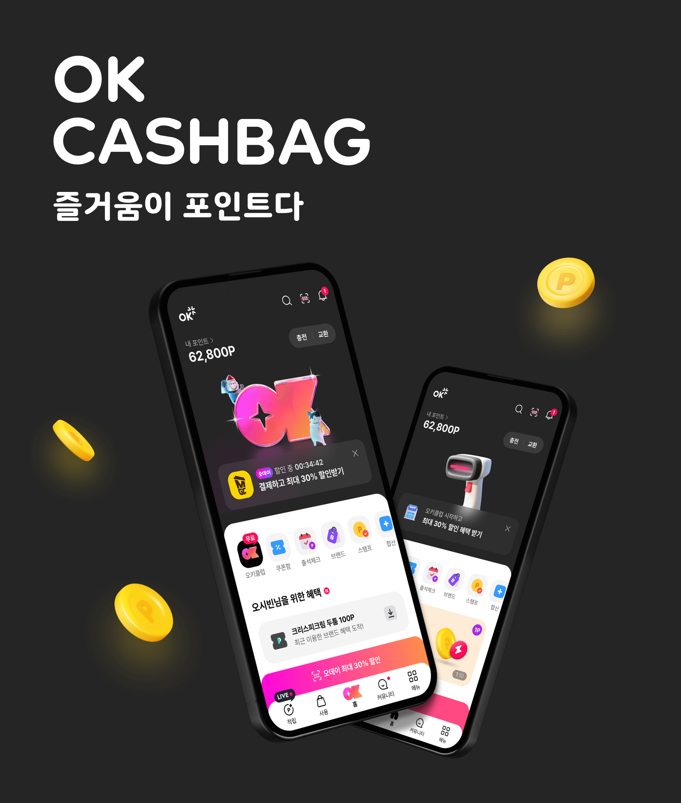 브릿지 페이지 이미지 영역